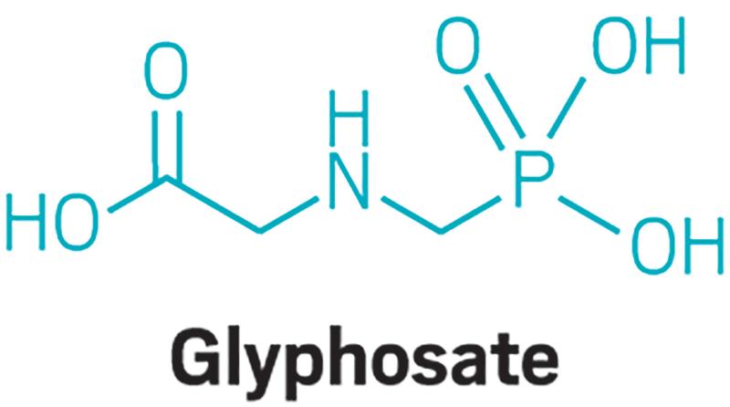 glyphosate market overview