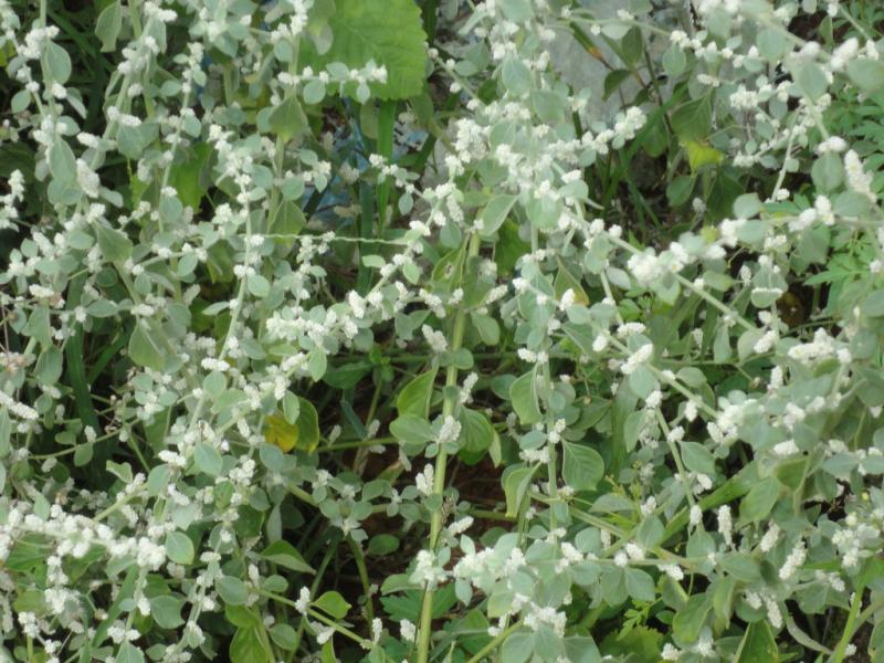 AyurvedicTreatmentSpineCareInjury, ,SpinalInjuryHospitalNagpur,RehabilitationCenterNearMe,SpinalCordInjuryTreatmentinAyurveda,SlippedDiscTreatmentWithoutSurgeryNagpur,NeckPain,NeckPainTreatment Nagpur,CervicalSpondylitisTreatmentCenterNagpur,Cervical Pain ,Lower Back Pain Center Nagpur, Middle Back Pain Treatment Center Nagpur,Backache Treatment  Nagpur,bestayurvedicmedicineforbackpain