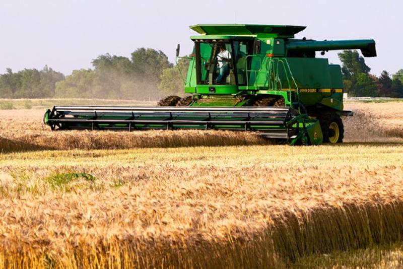 Grain Farming Market