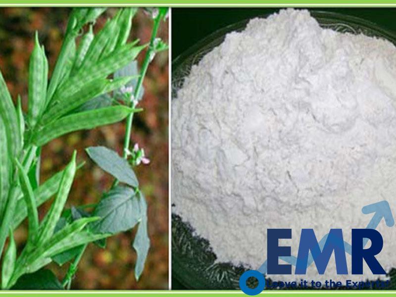 Global Guar Gum Powder Market