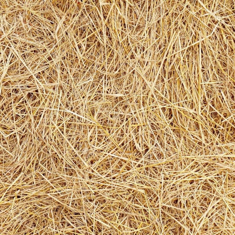 Hay Market | Market Data Forecast 