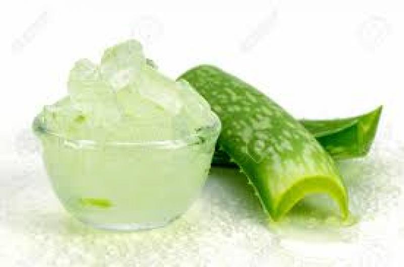 Global Aloe Vera Gel Market Size, Share, Industry, Price, Report & Forecast 2019-2024
