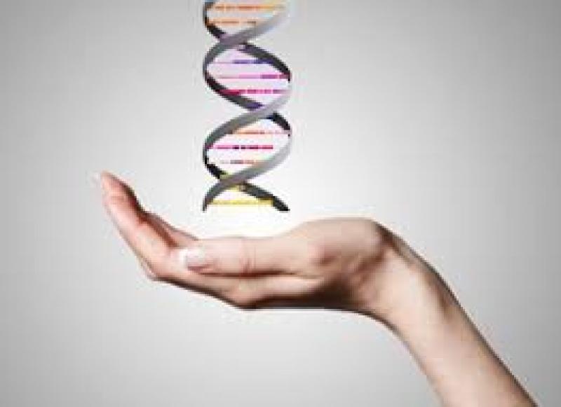 Library Science Through Distance Learning