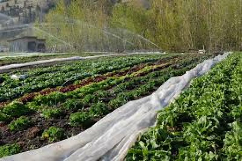 Middle East And Africa Irrigation Equipment Market 