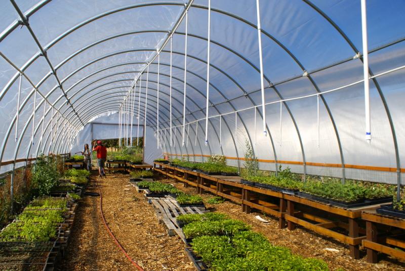Greenhouse Irrigation Systems Market 