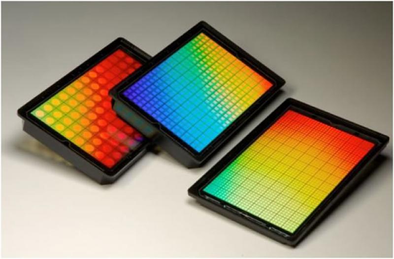 Label Free Detection Market