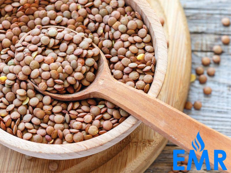 Lentil Market Is Expected To Reach 8.6 Million Tons By 2024