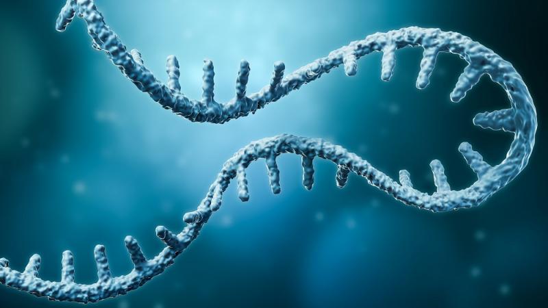 m-RNA Synthesis Service Market 