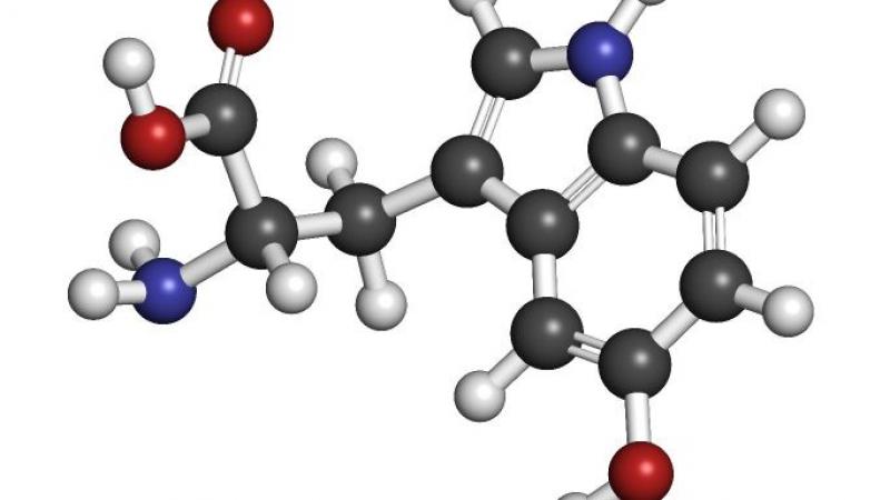 Melatonin, 5-HTP and Serotonin Market