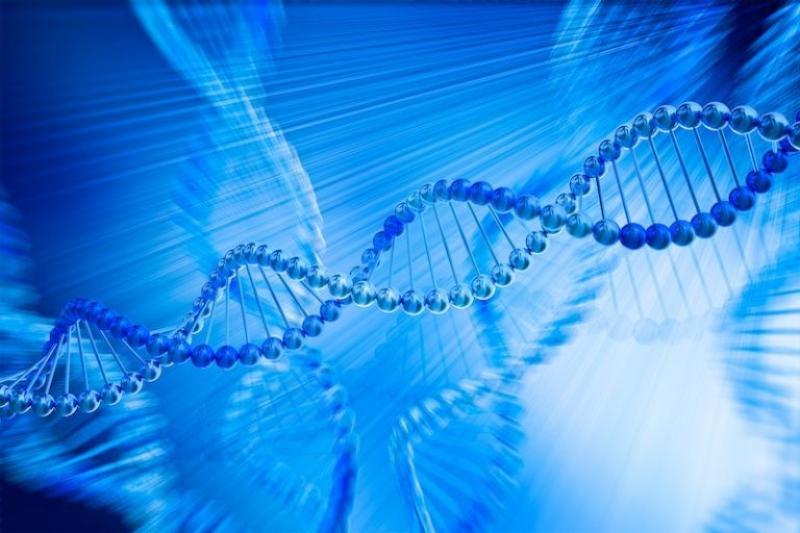 Next Generation Sequencing Market 
