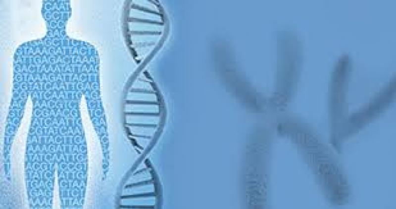 Asia-Pacific Next Generation Sequencing (NGS) Market