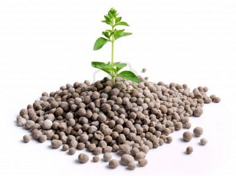  Nitrogenous Fertilizers