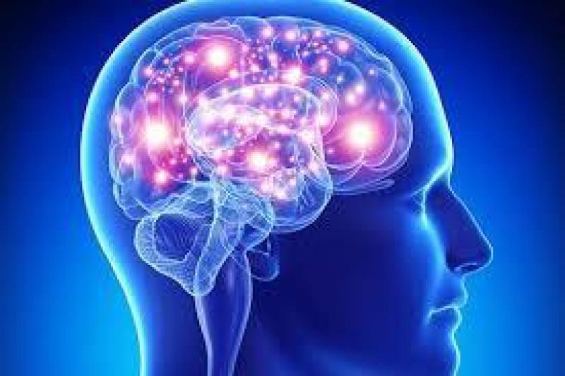 Nootropics Market