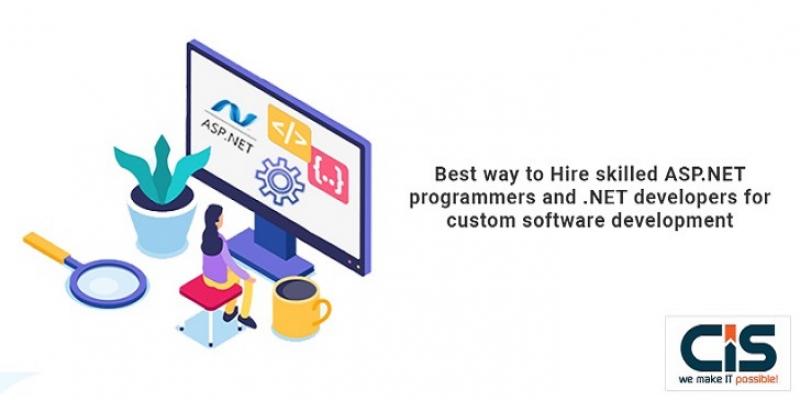 .NET developers for custom software development