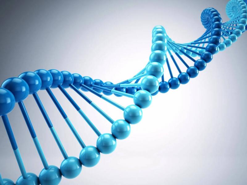 Oligonucleotide