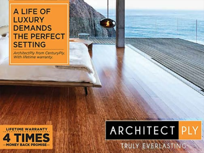 OPSK Timber - Plywood dealer in Delhi