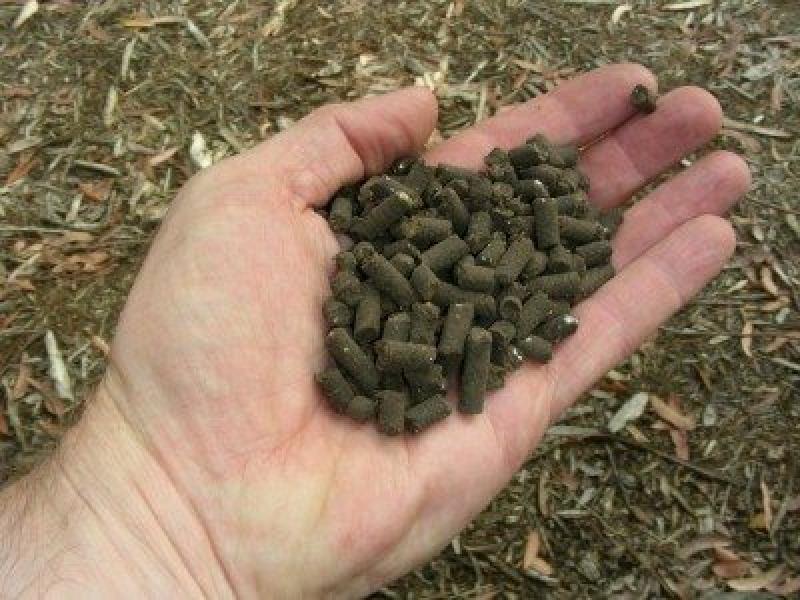 Organic Fertilizers Market