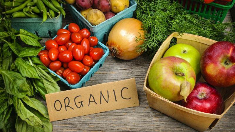 Germany Organic Food Market