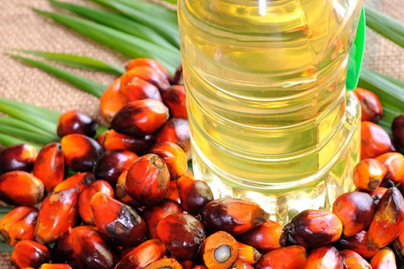 global palm oil market
