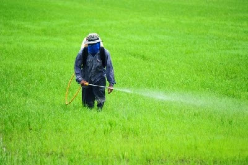 Pesticides Market