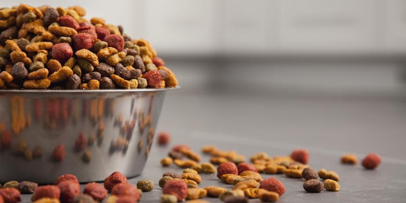 UAE Pet Food Market 