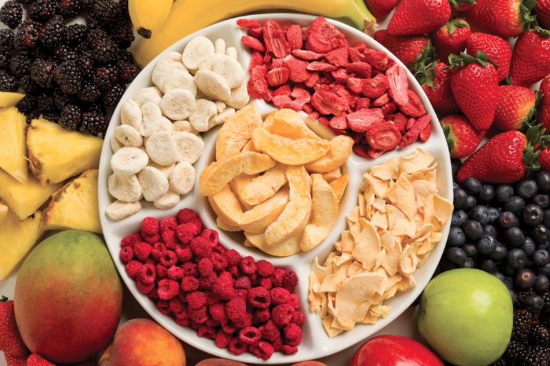 Global Freeze Dried Foods Market