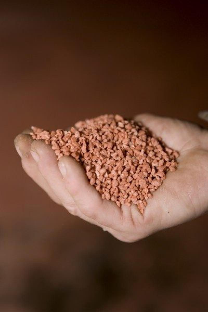 Potash Fertilizers Market 2024
