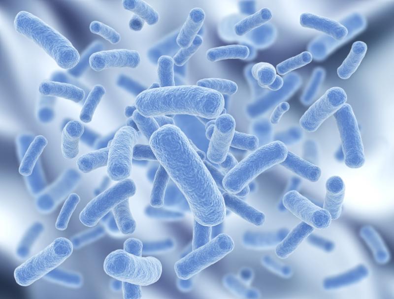 Probiotics