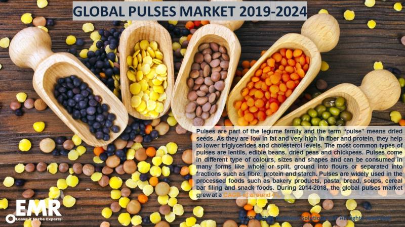 Global Pulses Market Size,price,Trends, Report & Forecast 2019-2024