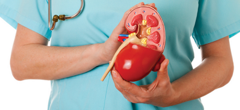 Gloabl Renal Disease Therapeutics Market