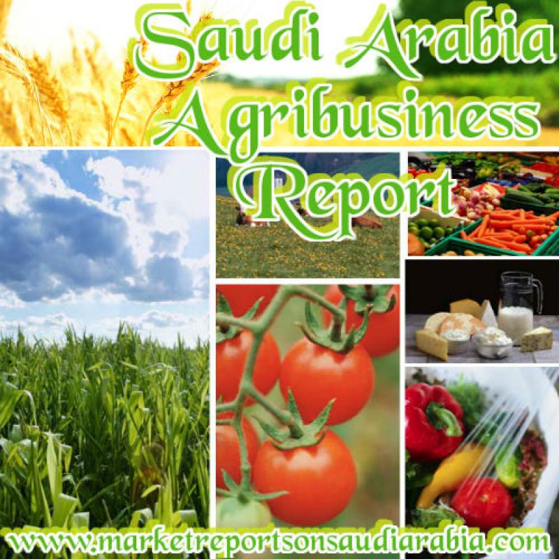 Agribusiness Report