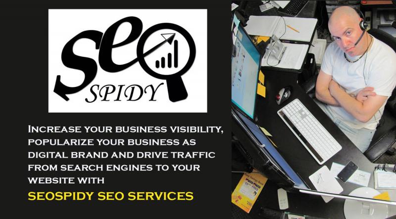 seospidy - seo firm delhi