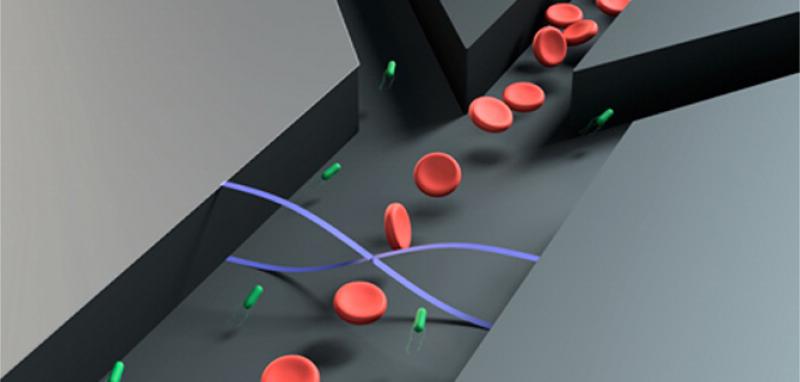 Sepsis Diagnostics Market