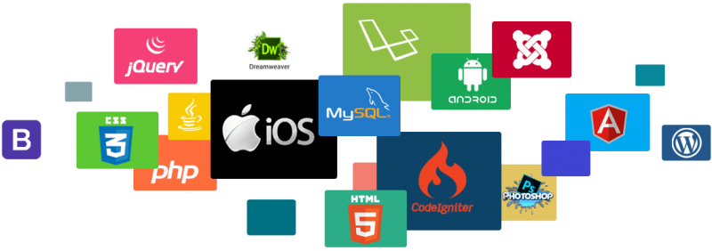 Web Development Company in Kolkata