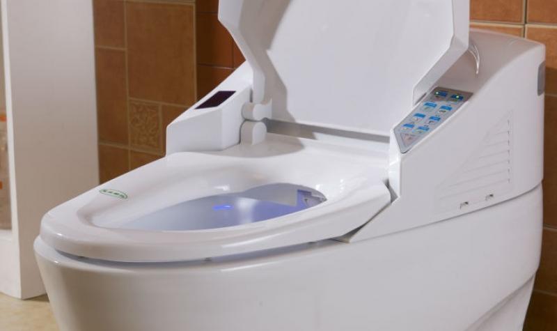 The Global Smart Toilet Market
