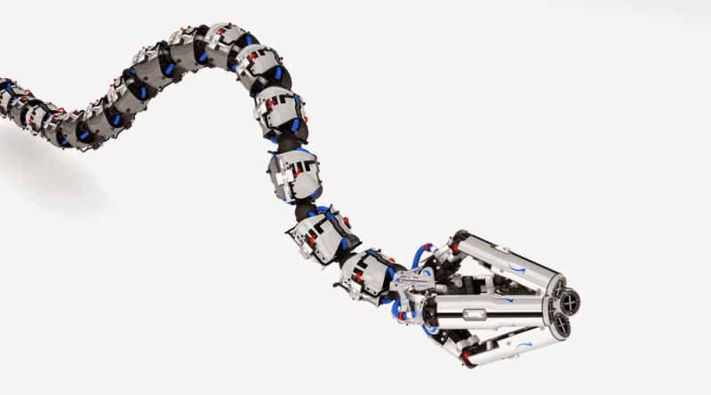 Global Snake Robots Market