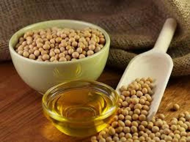 Soybean Oil Market Size, Industry, Outlook, Analysis, Price, Forecast & Report 2019-2024