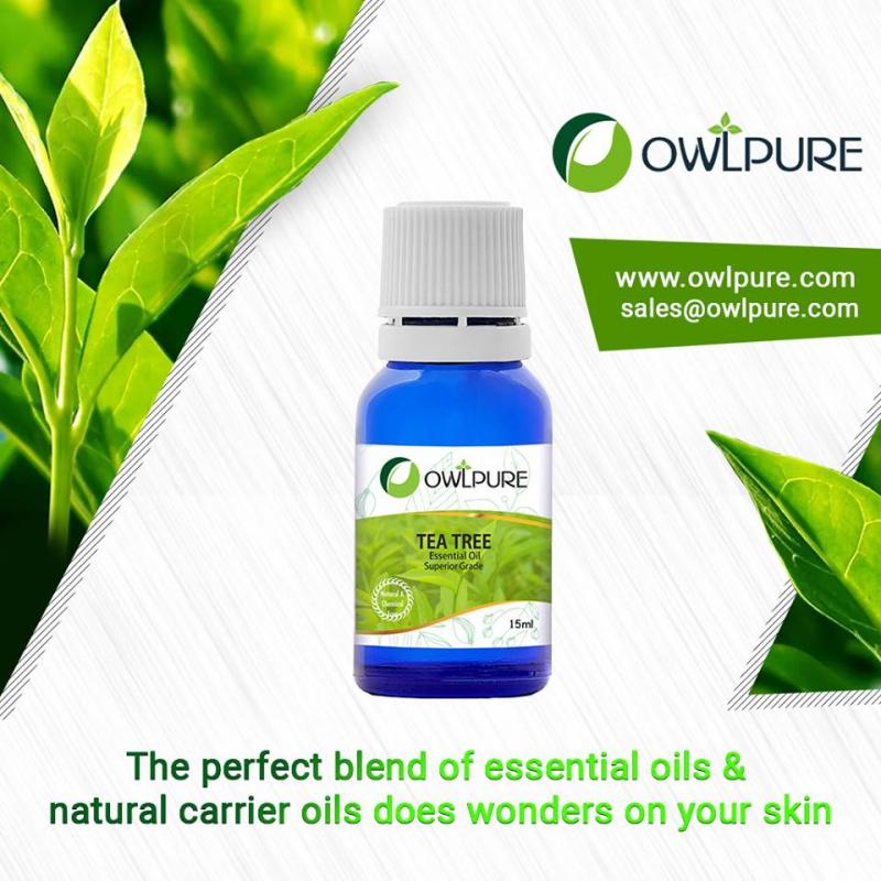 Say bye to your oily hair naturally