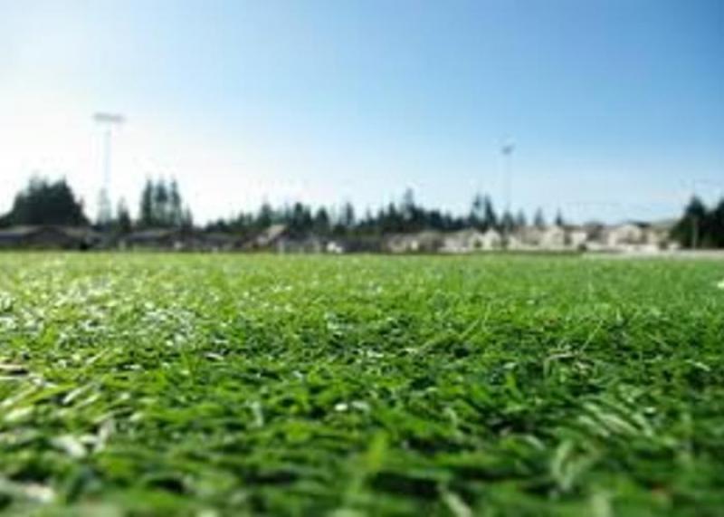 Turf and Ornamental Grass Protection Market
