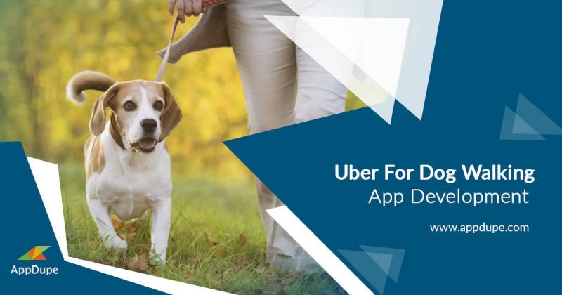 On-demand dog walking app development