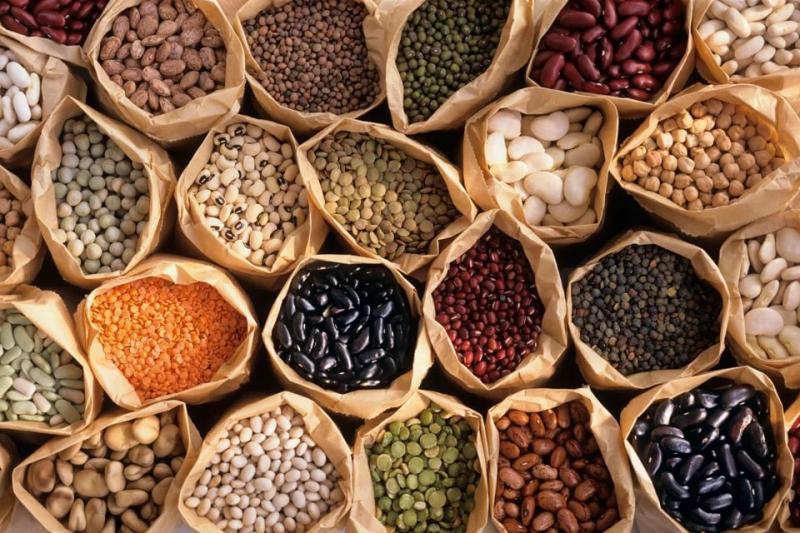 Vegetable Seed Market
