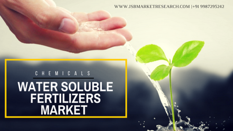water soluble fertilizer market 