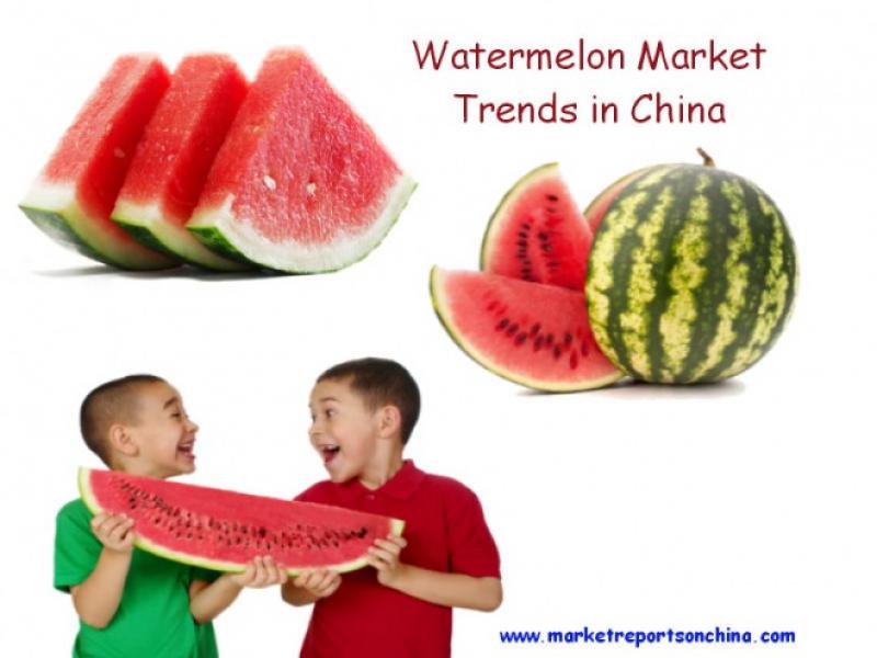 Watermelon Market Trends in China