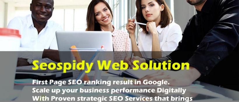 Seospidy Web Solution - seo services company in Delhi