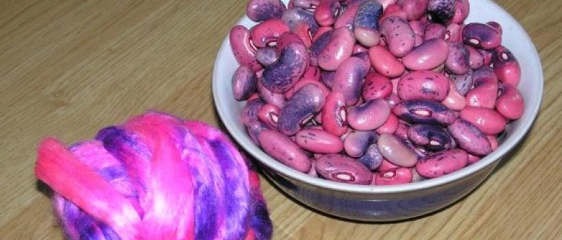 Global Seed Market 