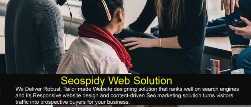 Seospidy Web Solution - website designing company in Delhi