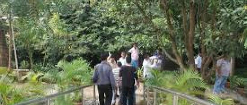 Drugs Rehabilitation center in Mumbai  