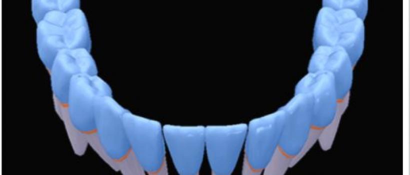 Facts about Wisdom Teeth
