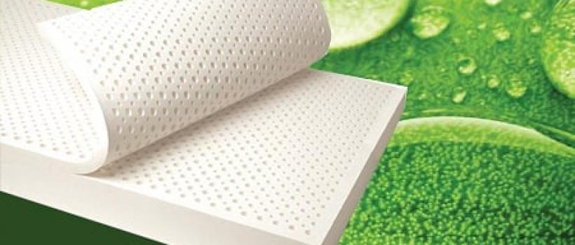 natural Latex mattress in India