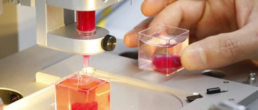 3D Biological Printing